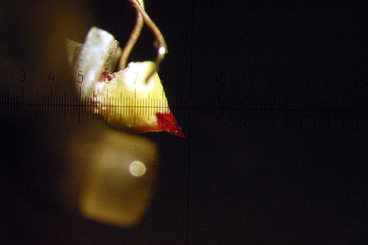 Around the World In 80 Lathes, Part 12