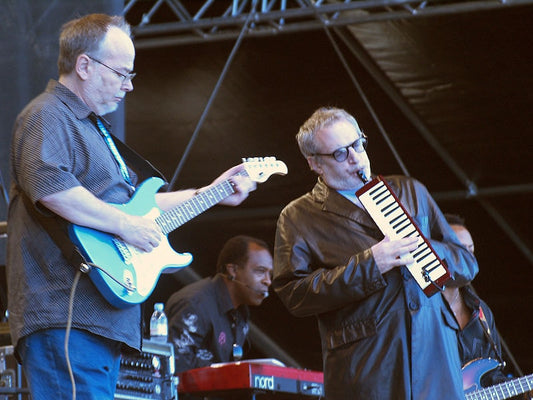 Steely Dan, Redux