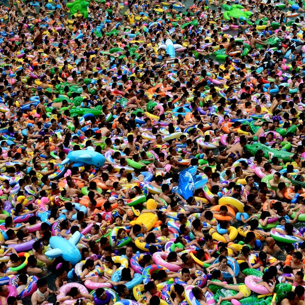 Three Winners, A Loser - And One That Might Have Been!