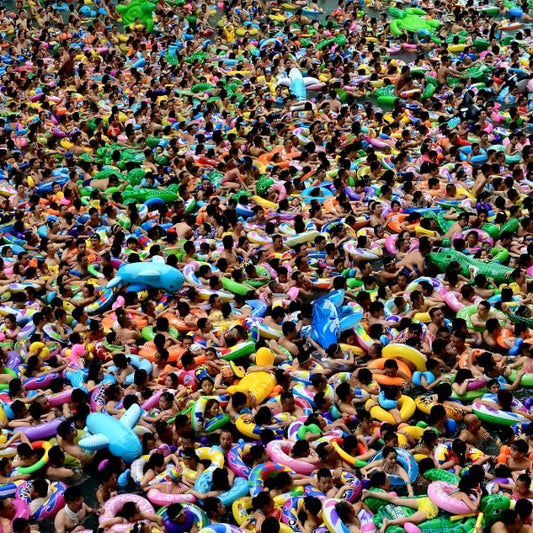 Three Winners, A Loser - And One That Might Have Been!