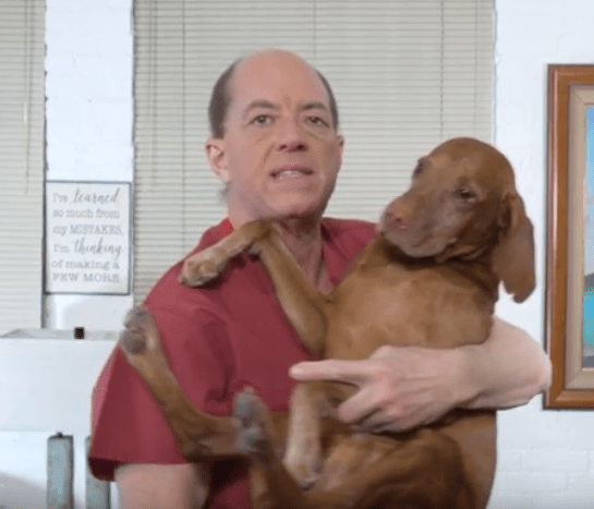 Ask Dr. Stu