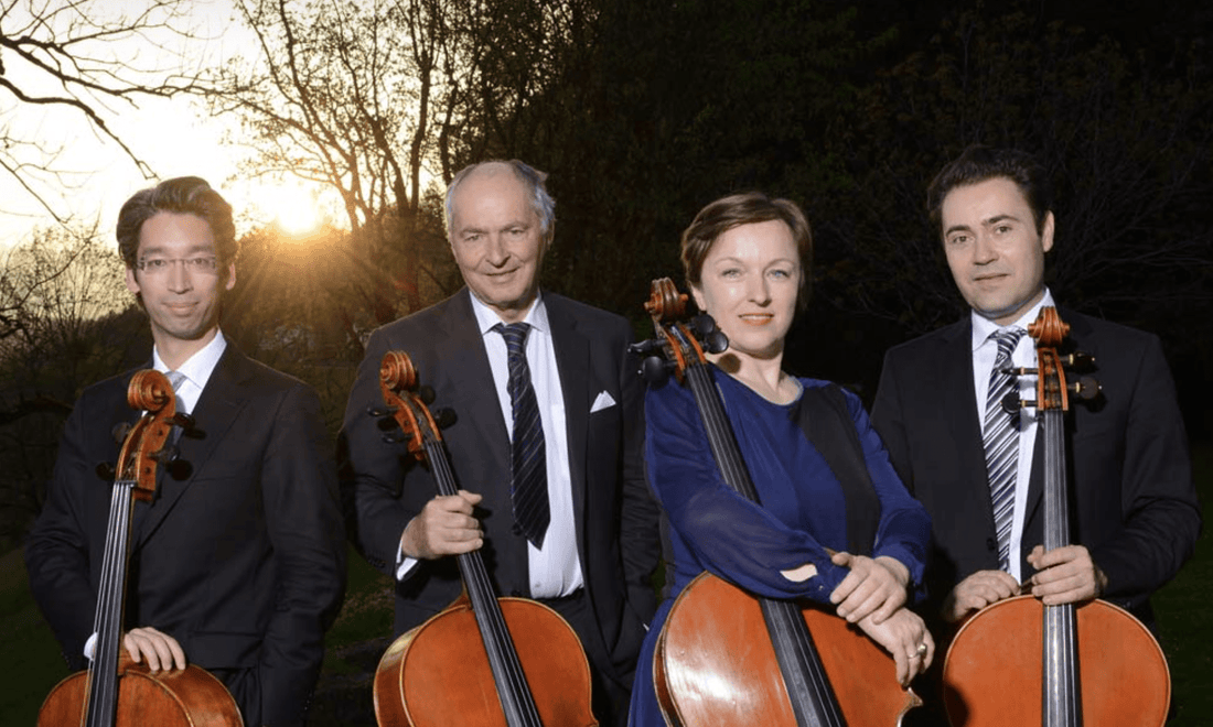 Viennese cello ensemble 5 + 1