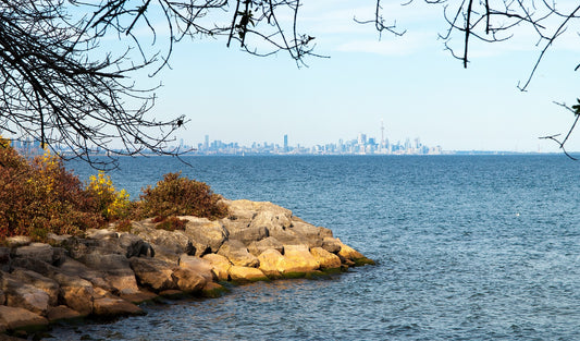 Toronto Skyline