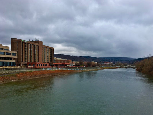 Binghamton