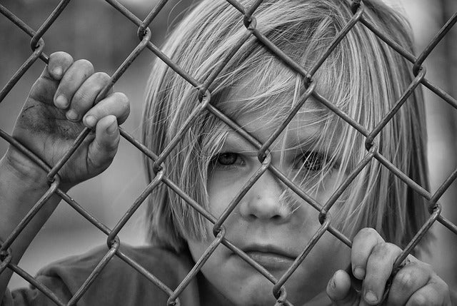 Good fences