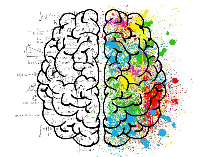 Are Musicians’ Brains Wired Differently?