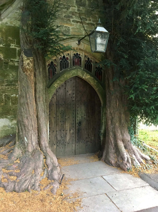 Speak, Friend, and Enter