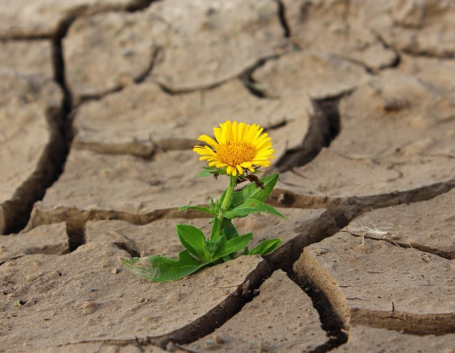 In search of miracles