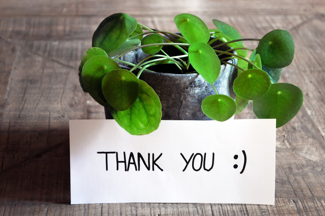Giving thanks