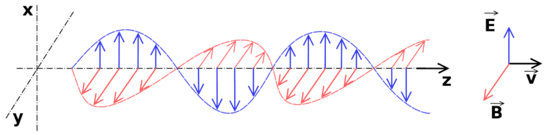 Living With Electromagnetic Hypersensitivity: Davinder Bedi of RadiAsian.London
