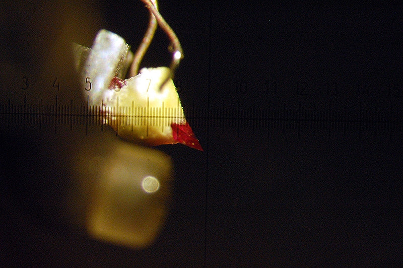 Around the World In 80 Lathes, Part 12