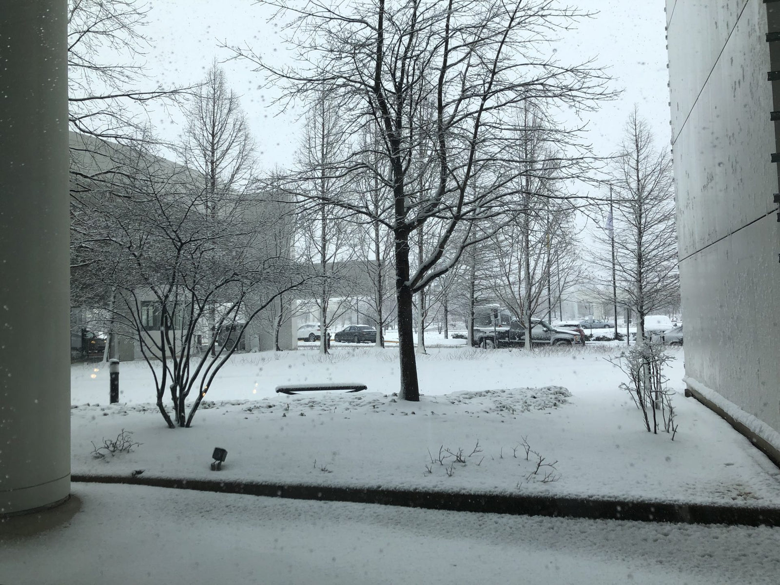 Schrödinger’s Show