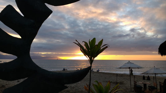 On the Beach In Puerto Vallarta, February 2019