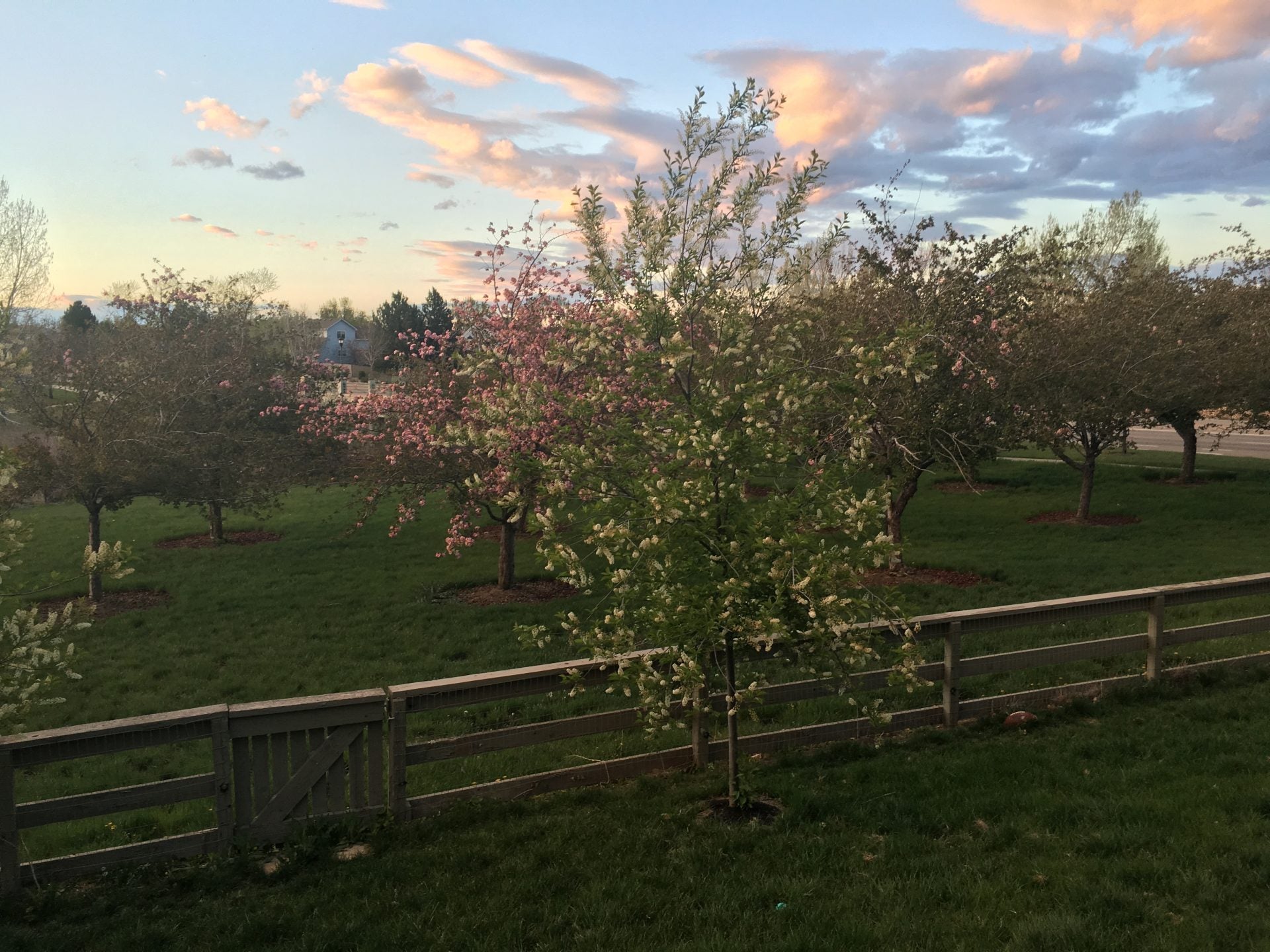 Spring is in the Air