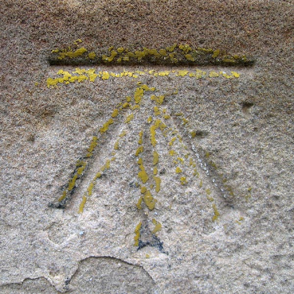 Benchmark