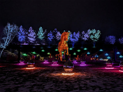 A Lifetime of Holiday Record (and CD) Listening