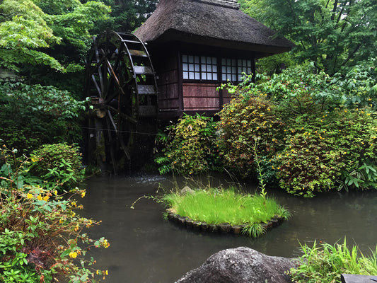 Japanese Garden