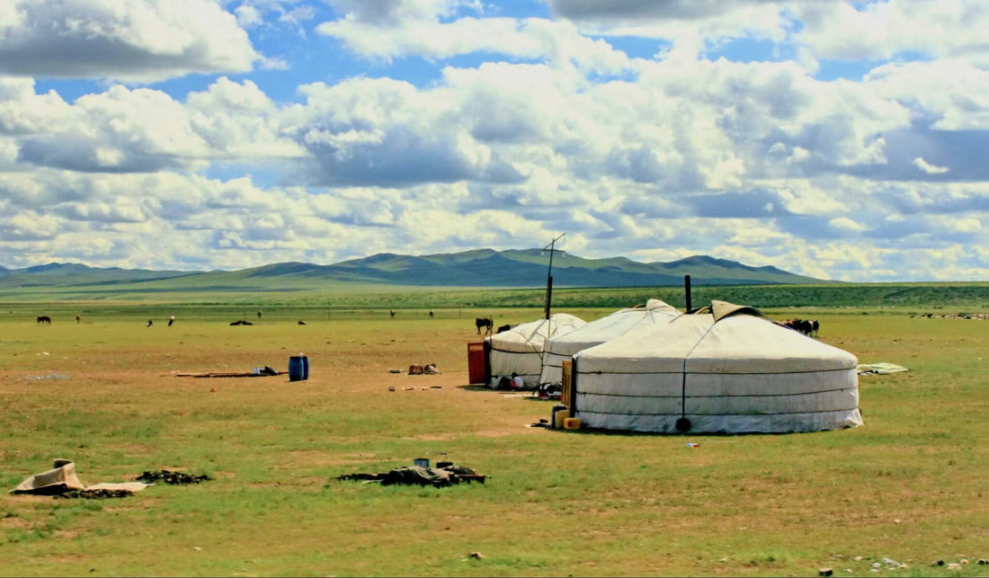 Five Weeks in Mongolia, Part One