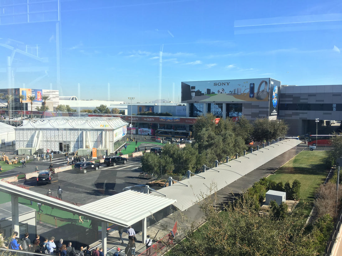 CES: A Look Around