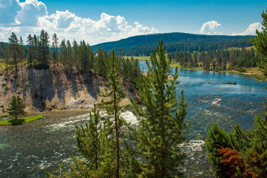 Yellowstone River