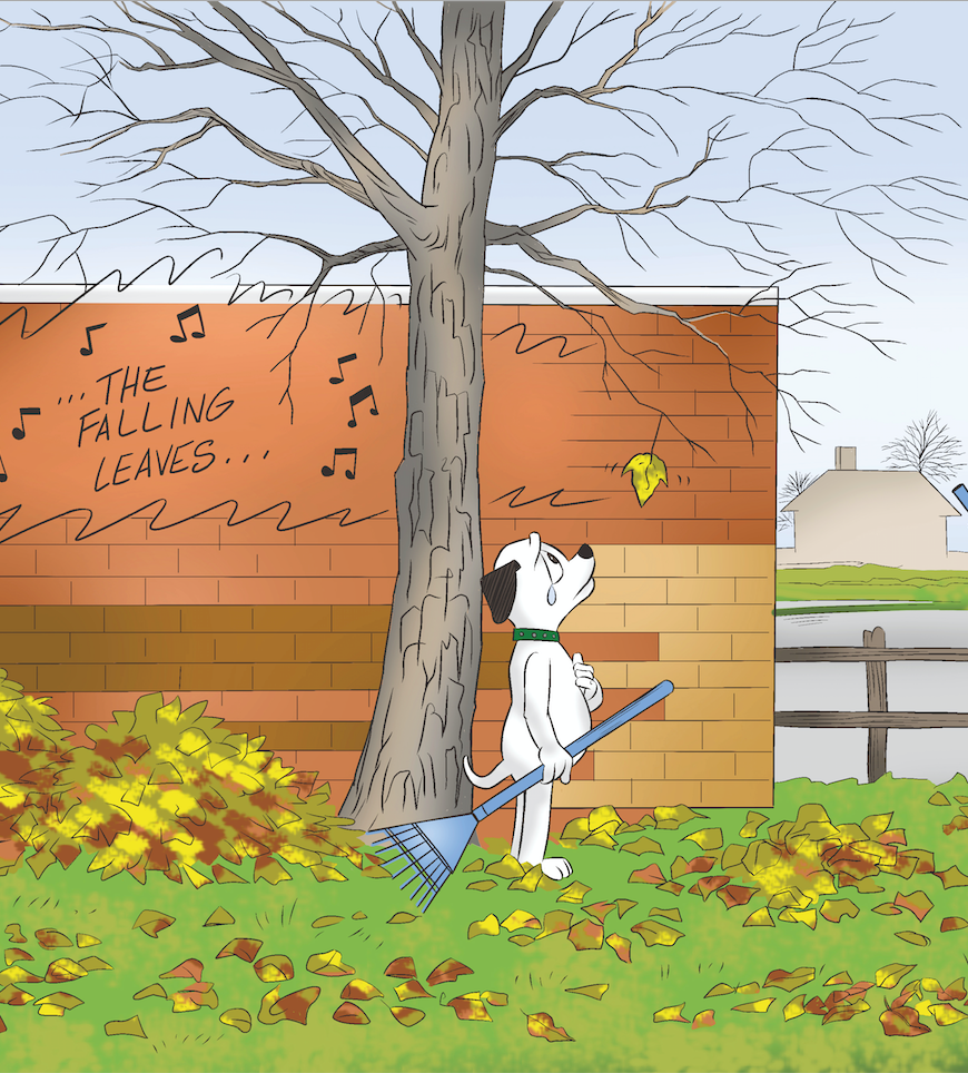 Snow Comes; Snow Goes