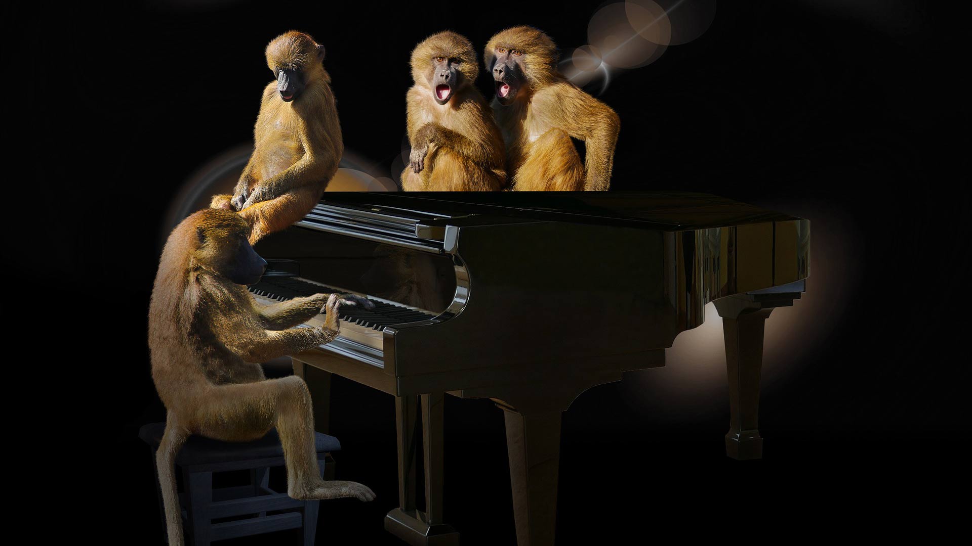 Does transparent sound require voicing?