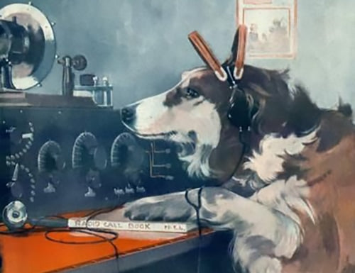 Listening With Dog's Ears