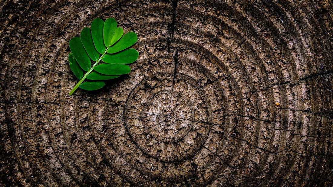 Texture and Grain