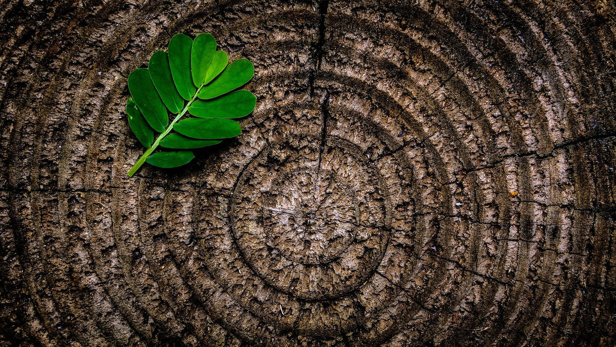 Texture and Truth