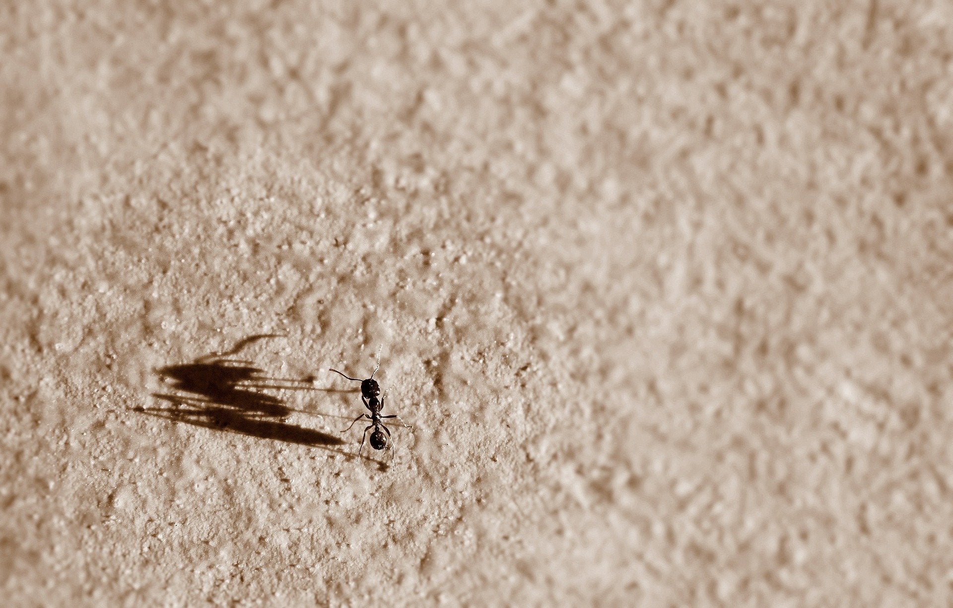 The last ten percent