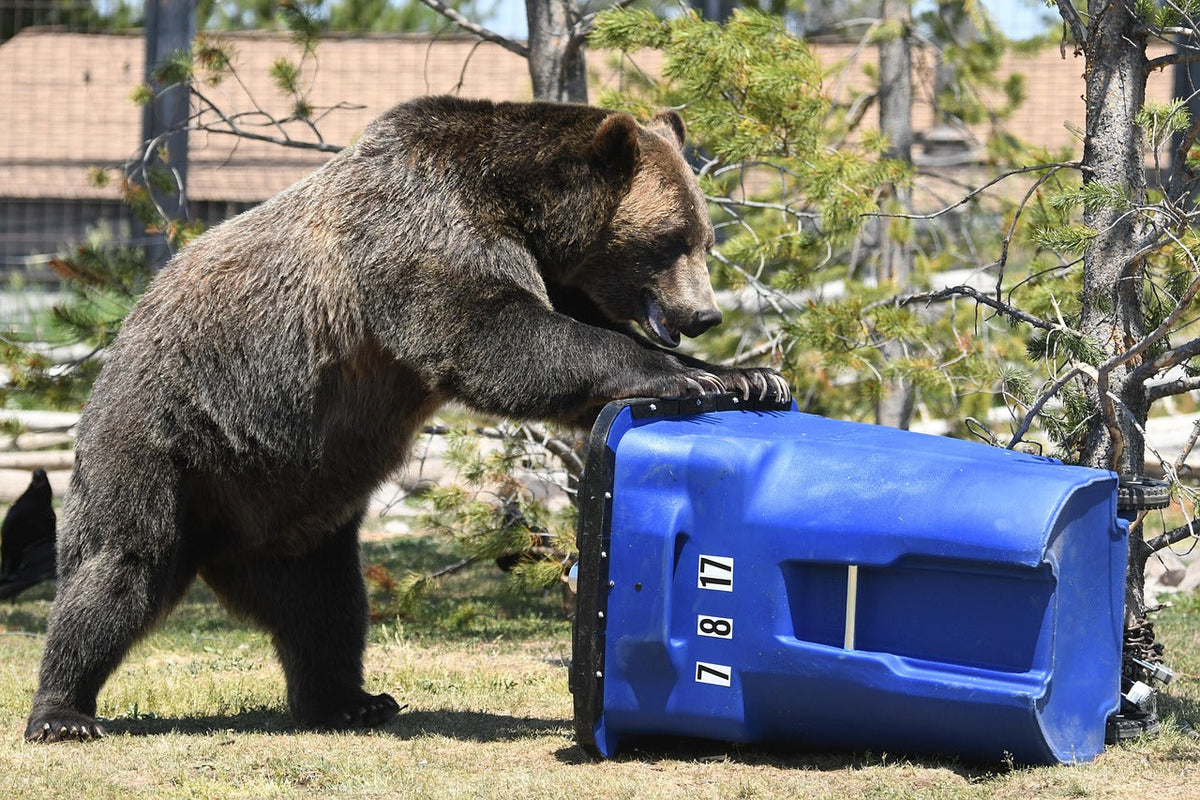 Taking out the garbage