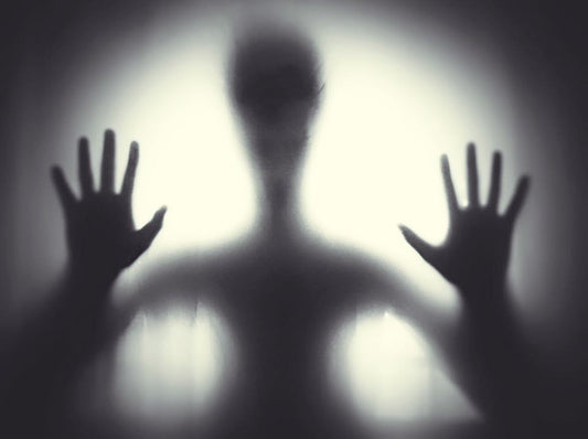 Phantoms