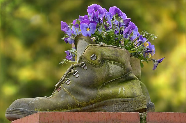 Old Shoes
