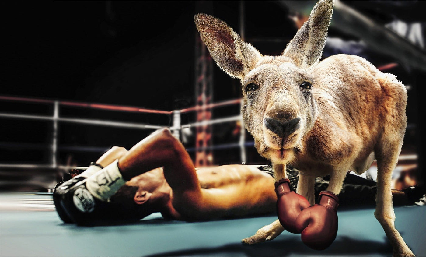 Ringside Seating