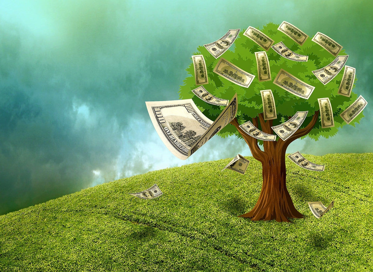 Maximizing one's assets