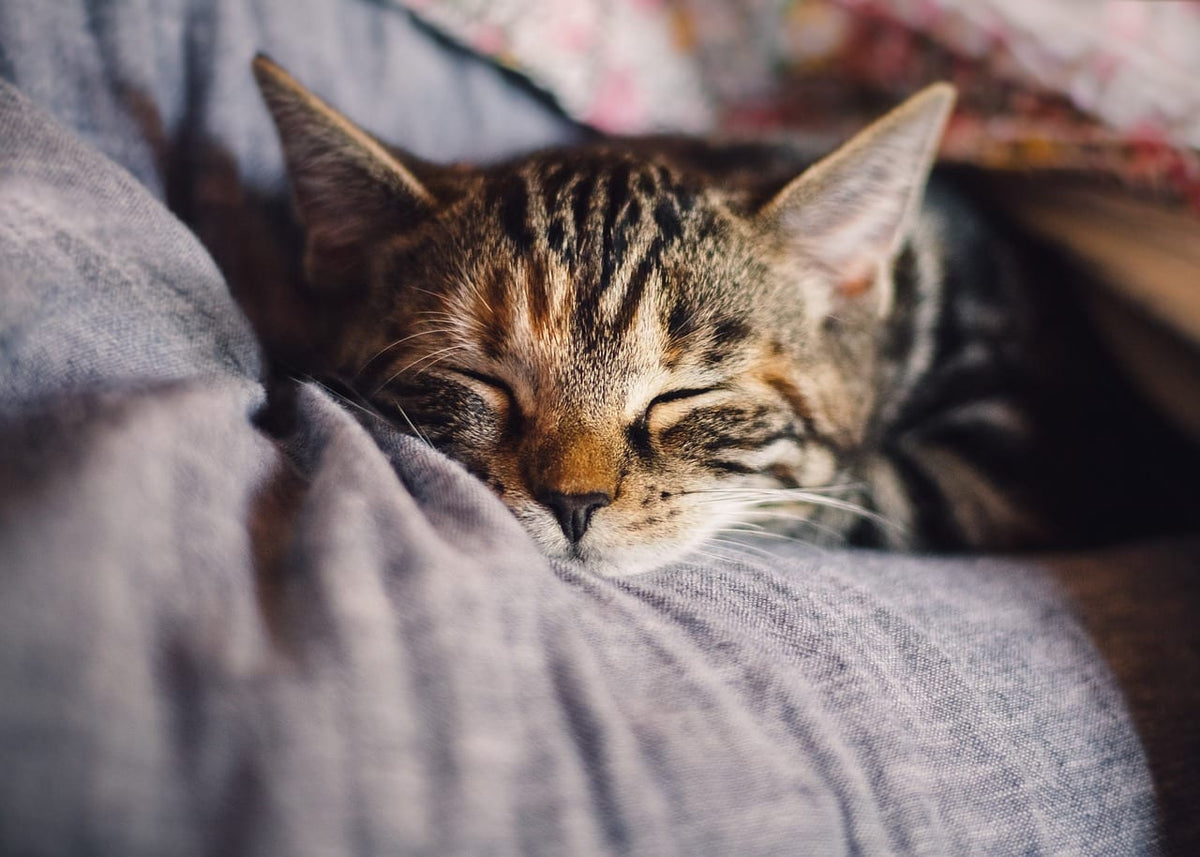 Getting tired?