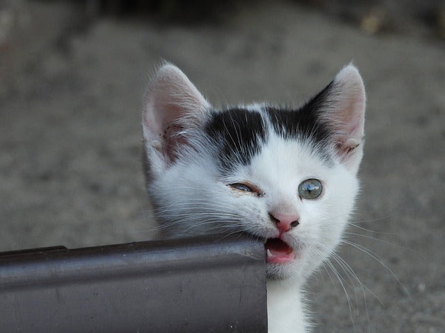 Biting bits