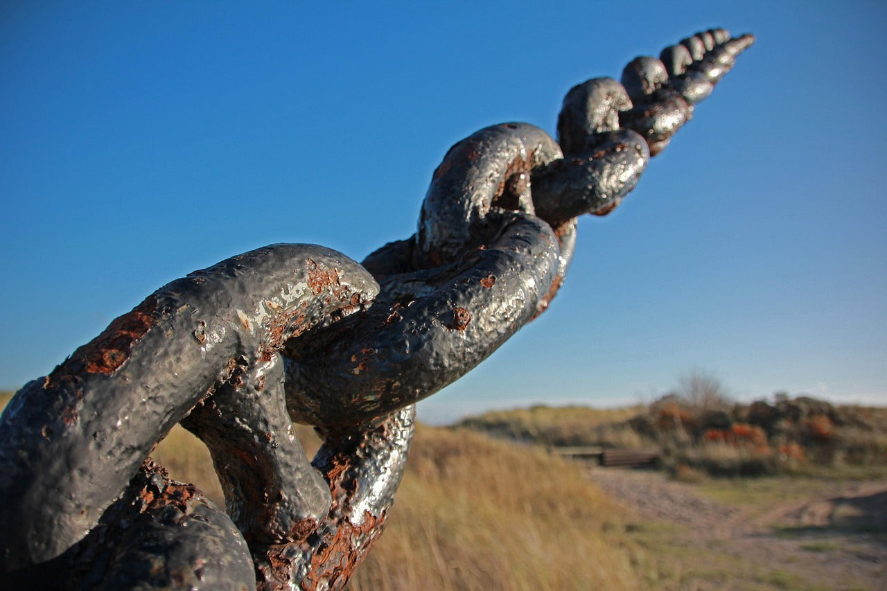 Garbage In, or the Weakest Link?