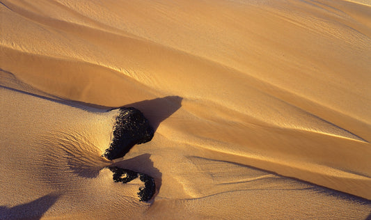 Alamosa Dunes