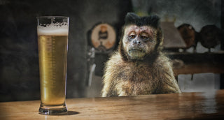Are you coherent?
