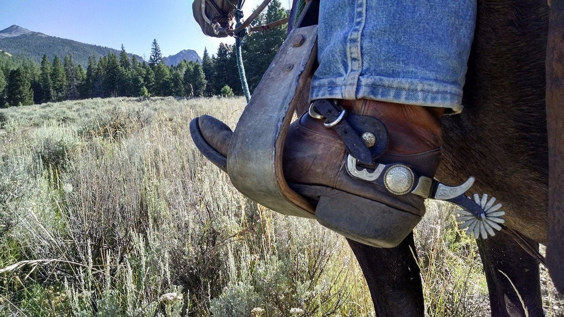 Riding The Fence Line