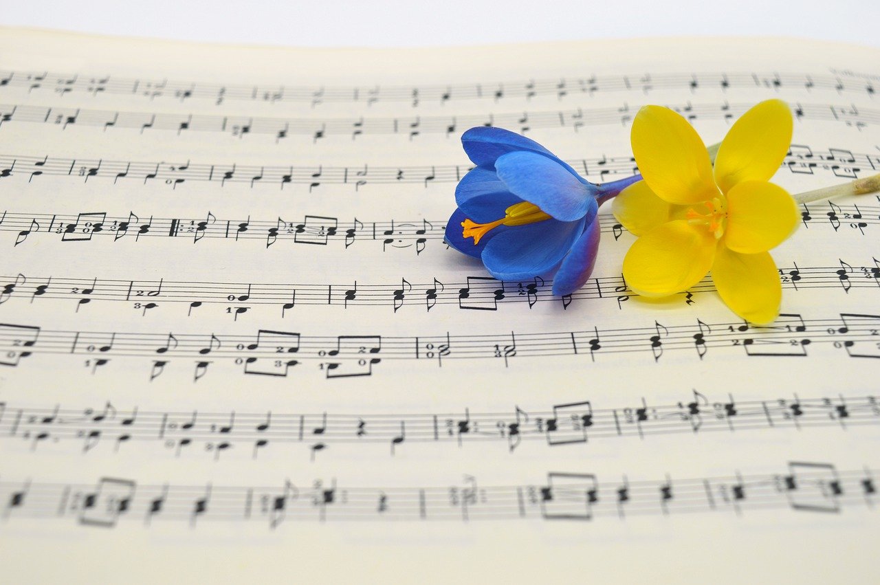 The musical connection