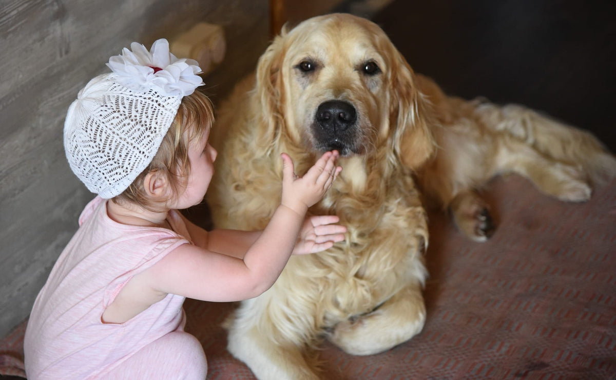 The Kindness Challenge