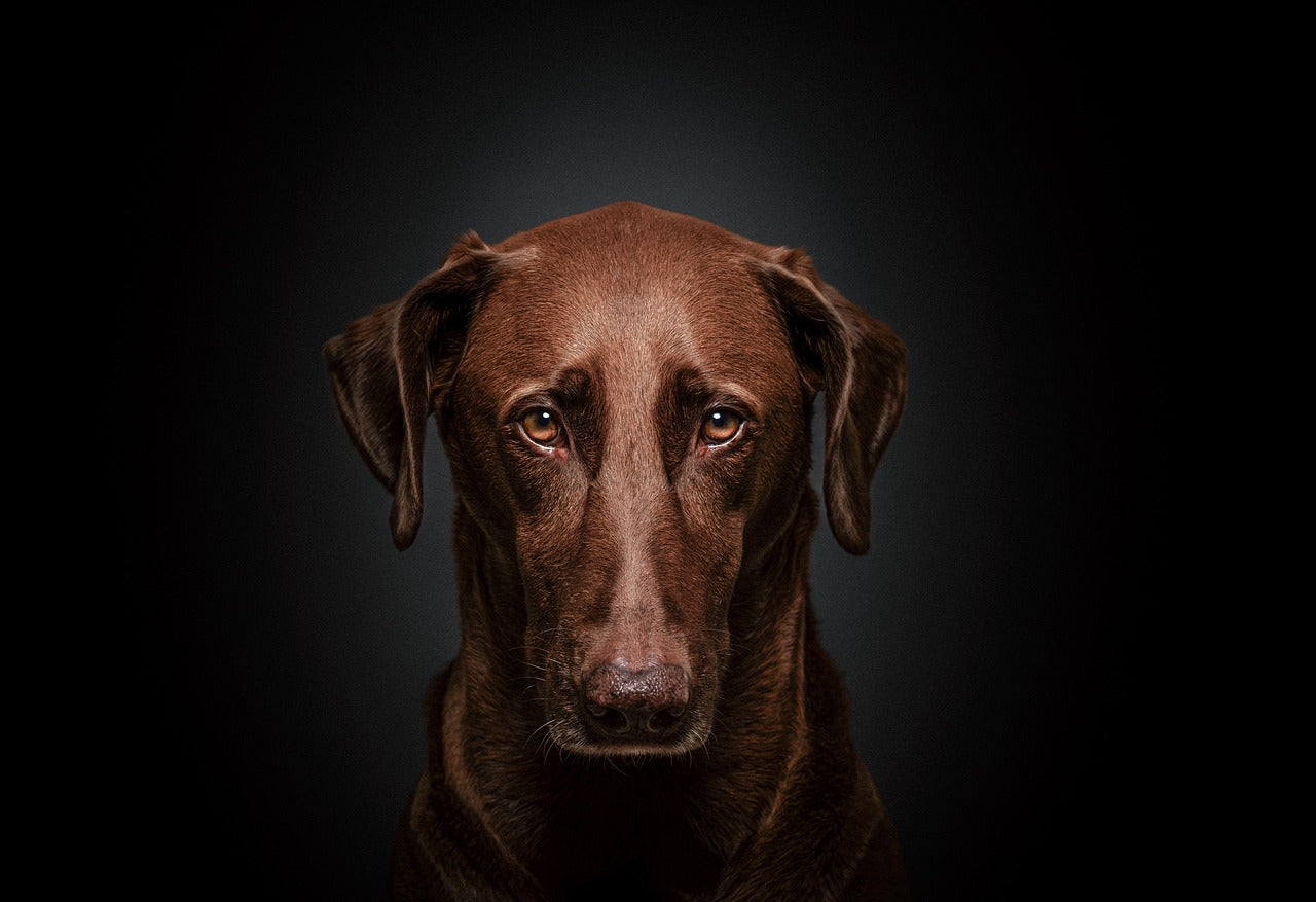 Looks can be deceiving