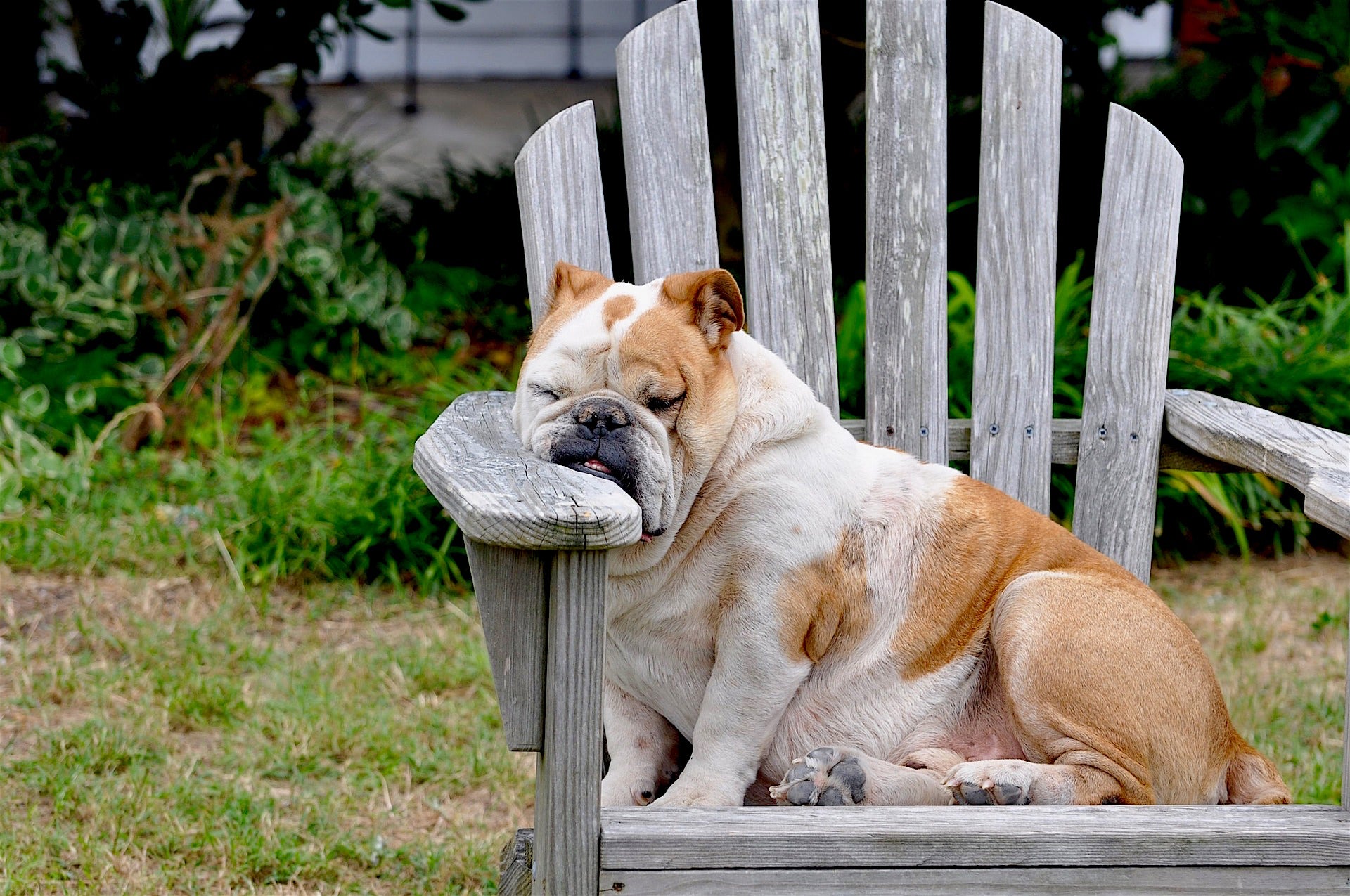 What causes listener fatigue?