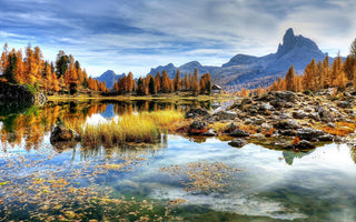 Color of silence
