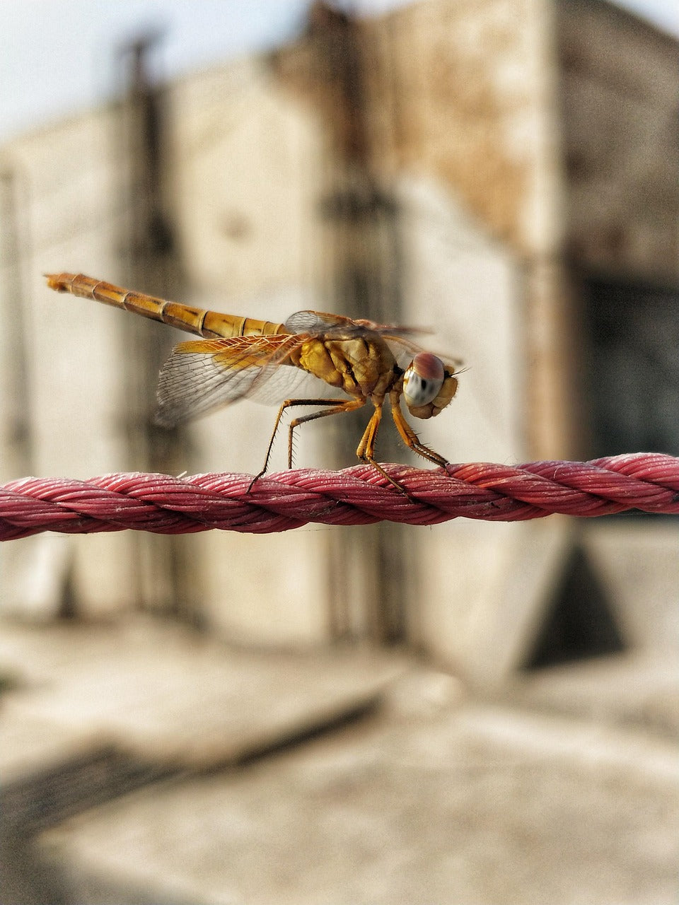 Balanced vs. single ended