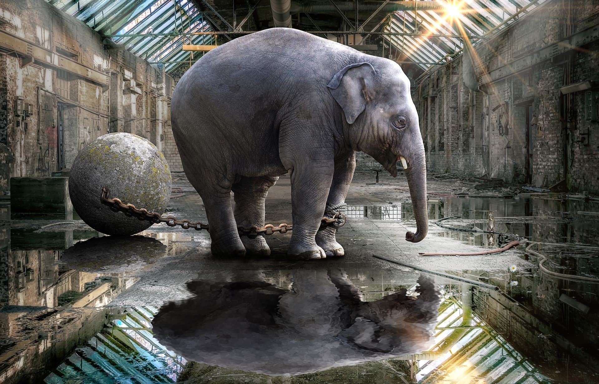 Little speakers and big rooms