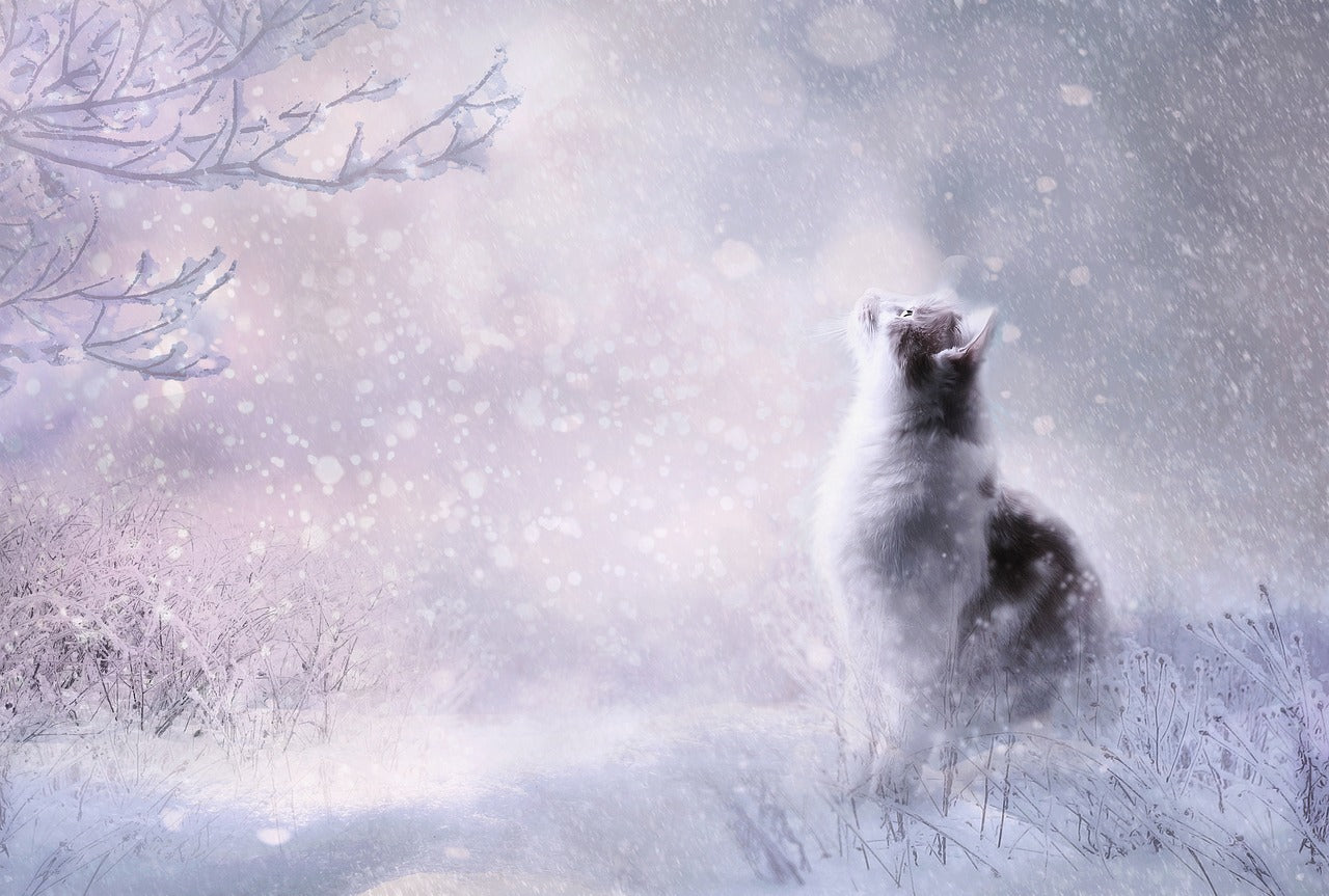 Chasing the illusion