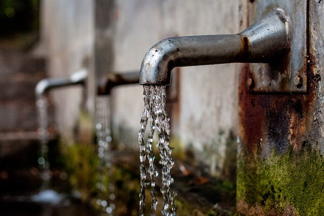 Fountain of purity